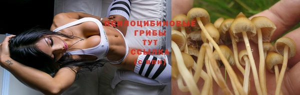 стаф Алексин