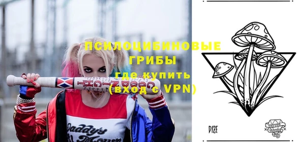 амф Алексеевка